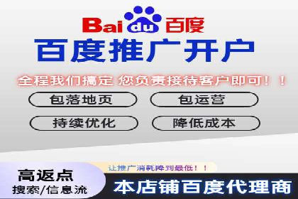 百度广告推广的创意策略与效果分析